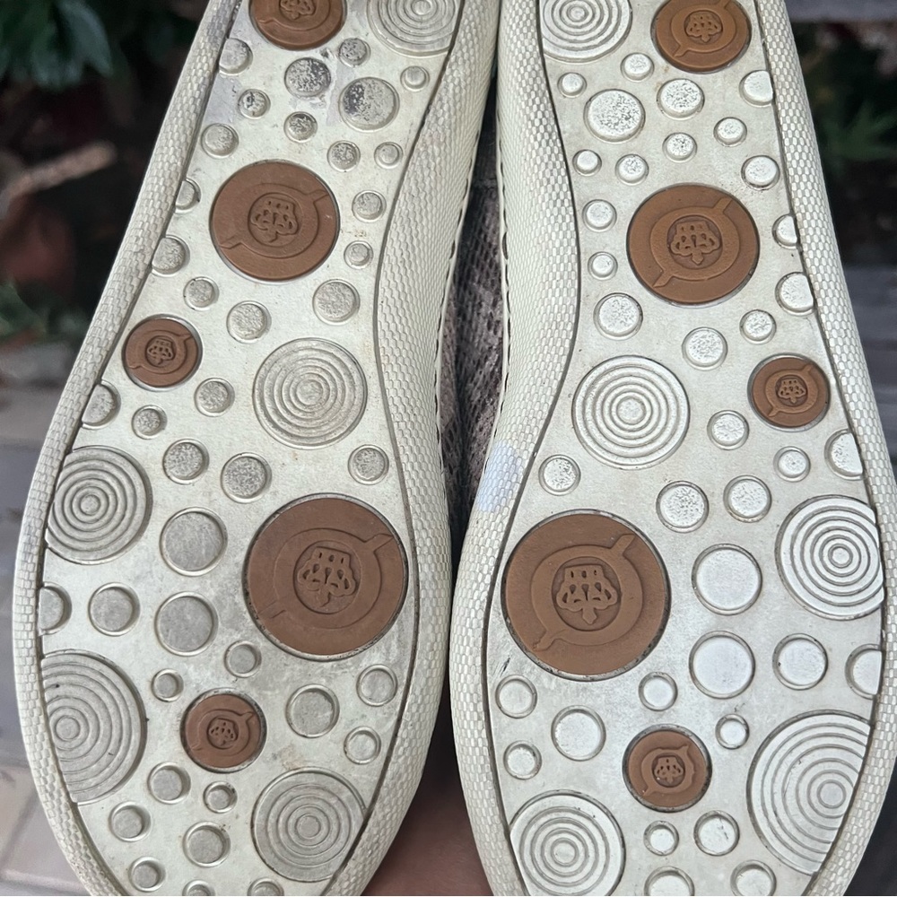 BORN Leather snake print sneakers|6.5 - Picture 6 of 7